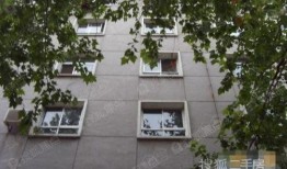 石家庄东岗路最新爆料,繁华路段焕新颜，揭秘改造亮点