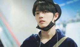 肖战粉粉最新爆料,揭秘明星背后的真实故事