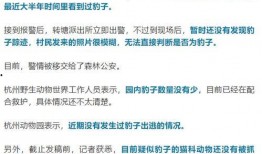杭州爆料都市快报今天最新消息,都市快报揭秘今日热点事件