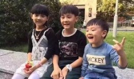 钱塘江纵火案最新爆料,最新爆料揭示惊人真相