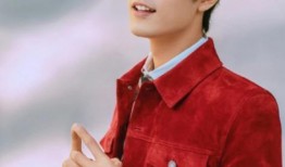 肖战粉粉最新爆料,揭秘明星背后的真实故事