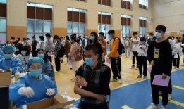 捷风国服最新爆料消息,神秘内容引玩家热议，揭秘游戏最新动向