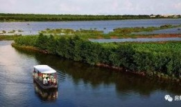 南沙潭洲最新爆料,揭秘未来城市新地标诞生记